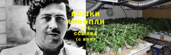 амф Армянск