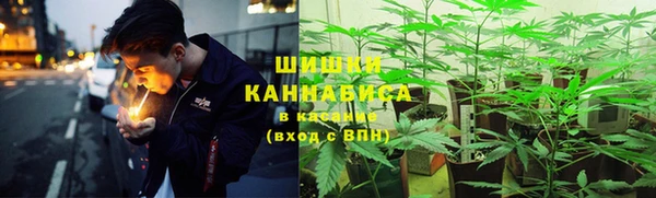 метадон Арсеньев